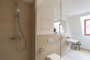 a bathroom with a shower and a sink at Hotel & Restaurant Ritter Jörg in Sommerhausen