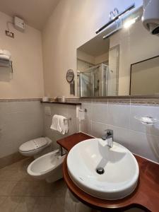 bagno con lavandino, servizi igienici e specchio di Viole Country Hotel ad Assisi