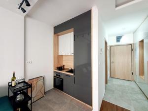 Gallery image of Apartman Ana Lux in Podgorica