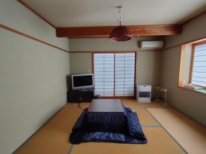 TV a/nebo společenská místnost v ubytování Funky Monkey Lodge, Myoko ファンキーモンキーロッジ 妙高