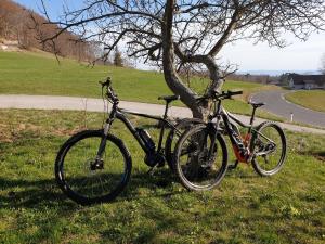 two bikes parked next to a tree in the grass at B&B Margarita in Cerkovna