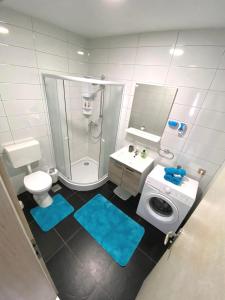La salle de bains est pourvue d'une douche, de toilettes et d'un lavabo. dans l'établissement Rojena vala - Neretva, à Komin