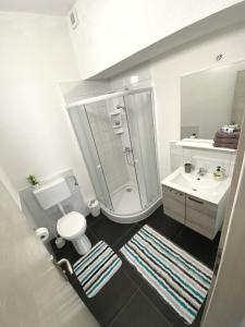 La salle de bains est pourvue d'une douche, de toilettes et d'un lavabo. dans l'établissement Rojena vala - Neretva, à Komin