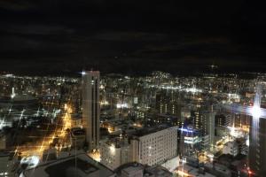 a view of a city at night with lights at Meteor Shower in Sapporo
