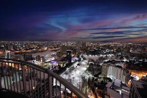 a view of a city at night at Meteor Shower in Sapporo