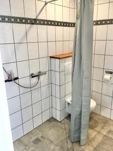 a bathroom with a toilet and a shower stall at Hvidegaard Møn in Stege