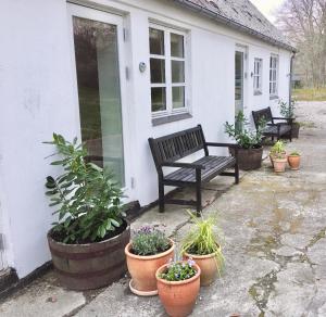 Taman di luar Hvidegaard Møn
