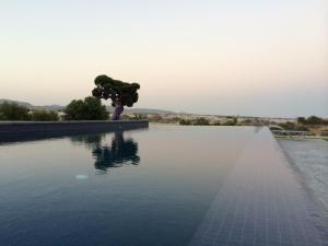 Imagen de la galería de Villa Olivo Maroni, en Maroni