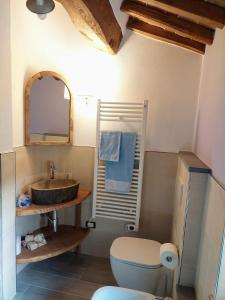 a bathroom with a sink and a toilet and a mirror at Casina Laura in Capannori
