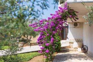 un arbusto de flores púrpuras al lado de una casa en Apartments Rita, en Krk