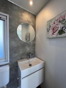 uma casa de banho com um lavatório e um espelho em Mobile Homes Relax Park Umag em Umag
