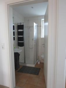 ein Bad mit einer Dusche und einem WC in der Unterkunft Boddenhus in Bresewitz