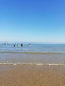 Fotografie z fotogalerie ubytování dreamingzeeland v destinaci Nieuwvliet