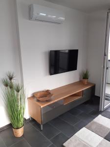 a living room with a television on a wall at Ferienwohnung Marek in Friedrichshafen