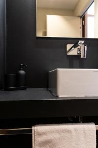 um balcão de casa de banho com um lavatório e um espelho em ROMA PREMIUM em Casale Monferrato