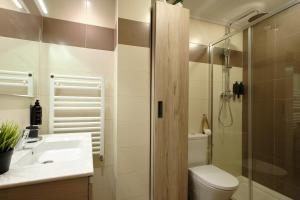 a bathroom with a shower and a toilet and a sink at El Balconcillo - Apartamento boutique en pleno centro - Grupo Querbes in Gijón