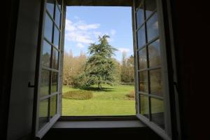 Zahrada ubytování Chambre jaune MANOIR DE LA VOVE Perche