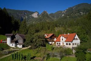 a village in the mountains with houses and trees at Turistična kmetija Stoglej in Luče