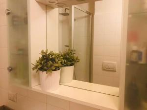 two potted plants sitting on a bathroom mirror at Cà Milla Argegno apartment in Argegno +20 photos