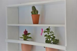 a white shelf with two potted plants on it at Drouga's Studios & Suites Astypalaia Greece in Livadi Astypalaias