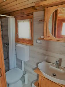 a bathroom with a toilet and a sink at Robinson House Istra Vižinada Poreč in Vižinada +38 photos