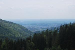 Pokrajina v okolici apartmaja
