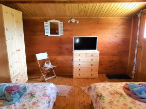a bedroom with two beds and a tv on a dresser at Robinson House Istra Vižinada Poreč in Vižinada