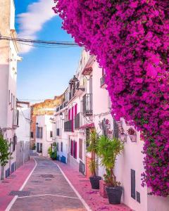 una calle en Positano con flores rosas en los edificios en Suite Vitbanus, en Marbella