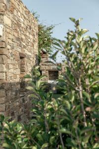Fotografia z galérie ubytovania White Tinos Luxury Suites v destinácii Stení