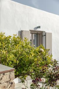 Vonkajšia záhrada v ubytovaní White Tinos Luxury Suites