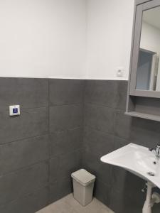 Kúpeľňa v ubytovaní Podlovics Tanya Panzió