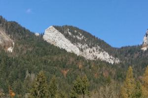 a view of a mountain with trees at Le Chartreux de Saint Pierre de Chartreuse in Saint-Pierre-de-Chartreuse