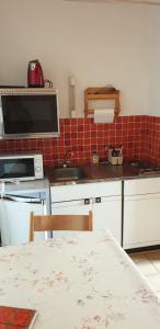 cocina con encimera, microondas y fregadero en Joli Studio Chamechaude en Saint-Pierre-de-Chartreuse