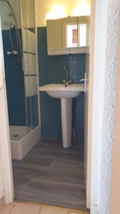 La salle de bains est pourvue d'un lavabo et d'une douche. dans l'établissement Joli Studio Chamechaude, à Saint-Pierre-de-Chartreuse