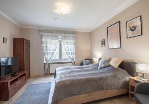 1 dormitorio con 1 cama grande y TV en 101 Apartman Agárd,Török Bálint utca 101, en Agárd