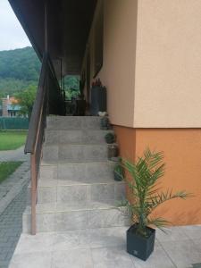 a staircase leading to a building with a potted plant at Bela apartment in Belá