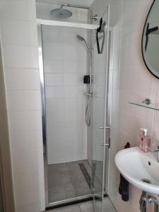 uma casa de banho com um chuveiro e um lavatório. em Marianna - studio for two em Groningen