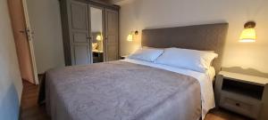 1 dormitorio con 1 cama grande en una habitación en Apartments Boris, en Poreč