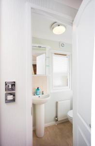 a bathroom with a sink and a toilet at 2-Bed Cottage with Hot Tub at Loch Achilty NC500 in Strathpeffer