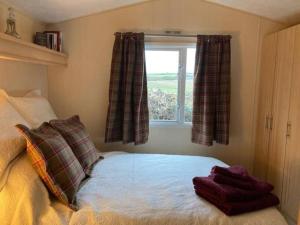 a bedroom with a bed and a window at Cosy Quiet Static Caravan Mawgan Porth St Eval in Wadebridge