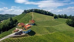 Gallery image of Weingut-Gästehaus Birnstingl in Gamlitz +8 photos