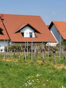 Zahrada ubytování Ferienhaus Vongerichten