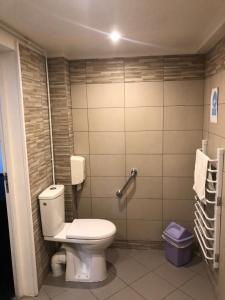 a bathroom with a toilet and a shower at Fasthôtel Pont-Audemer -LE DRAKKAR -un hôtel FH Confort in Pont-Audemer +44 photos