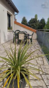 een patio met 2 stoelen en een potplant bij Les loges in Parthenay