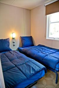 2 letti blu in una camera con finestra di Chalet Fuusslee a Goebelsmuhle
