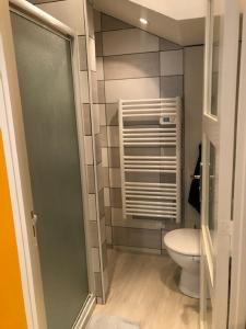 a bathroom with a toilet and a glass door at T2 hypercentre Libourne 5 min St Emillon in Libourne