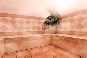 A bathroom at Apartamentos Laurel Suites