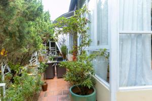 Zahrada ubytování Homestay Vườn Tùng