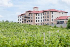 a large building on top of a grassy hill at Holiday Inn Express & Suites Lexington North West-The Vineyard, an IHG Hotel in Lexington