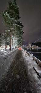 兹拉蒂博尔Natali Apartman的一条积雪覆盖的道路，路边有一棵树横卧在雪中